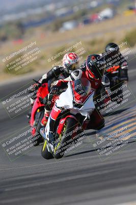 media/Nov-11-2023-SoCal Trackdays (Sat) [[efd63766ff]]/Turn 11 (955am)/